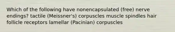 Which of the following have nonencapsulated (free) nerve endings? tactile (Meissner's) corpuscles muscle spindles hair follicle receptors lamellar (Pacinian) corpuscles