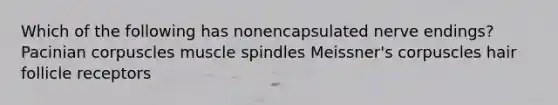 Which of the following has nonencapsulated nerve endings? Pacinian corpuscles muscle spindles Meissner's corpuscles hair follicle receptors