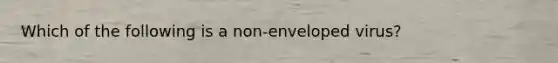 Which of the following is a non-enveloped virus?