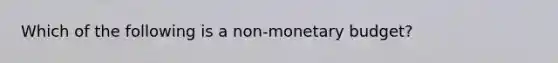 Which of the following is a non-monetary budget?