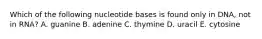 Which of the following nucleotide bases is found only in DNA, not in RNA? A. guanine B. adenine C. thymine D. uracil E. cytosine