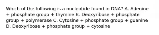 Which of the following is a nucleotide found in DNA? A. Adenine + phosphate group + thymine B. Deoxyribose + phosphate group + polymerase C. Cytosine + phosphate group + guanine D. Deoxyribose + phosphate group + cytosine