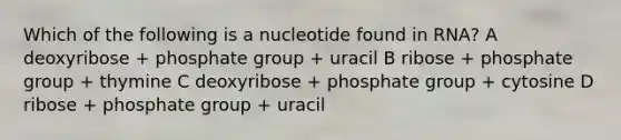 Which of the following is a nucleotide found in RNA? A deoxyribose + phosphate group + uracil B ribose + phosphate group + thymine C deoxyribose + phosphate group + cytosine D ribose + phosphate group + uracil