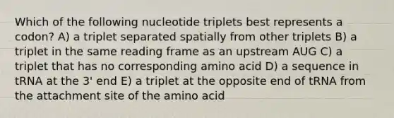 Which of the following nucleotide triplets best represents a codon? A) a triplet separated spatially from other triplets B) a triplet in the same reading frame as an upstream AUG C) a triplet that has no corresponding amino acid D) a sequence in tRNA at the 3' end E) a triplet at the opposite end of tRNA from the attachment site of the amino acid