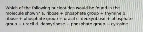 Which of the following nucleotides would be found in the molecule shown? a. ribose + phosphate group + thymine b. ribose + phosphate group + uracil c. deoxyribose + phosphate group + uracil d. deoxyribose + phosphate group + cytosine