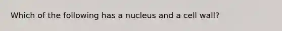 Which of the following has a nucleus and a cell wall?