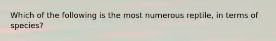 Which of the following is the most numerous reptile, in terms of species?