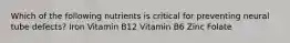 Which of the following nutrients is critical for preventing neural tube defects? Iron Vitamin B12 Vitamin B6 Zinc Folate