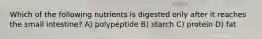 Which of the following nutrients is digested only after it reaches the small intestine? A) polypeptide B) starch C) protein D) fat