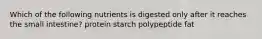 Which of the following nutrients is digested only after it reaches the small intestine? protein starch polypeptide fat