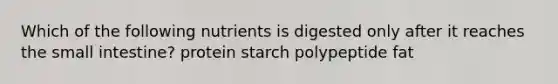 Which of the following nutrients is digested only after it reaches the small intestine? protein starch polypeptide fat