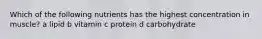 Which of the following nutrients has the highest concentration in muscle? a lipid b vitamin c protein d carbohydrate