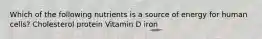 Which of the following nutrients is a source of energy for human cells? Cholesterol protein Vitamin D iron