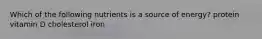 Which of the following nutrients is a source of energy? protein vitamin D cholesterol iron