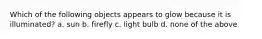 Which of the following objects appears to glow because it is illuminated? a. sun b. firefly c. light bulb d. none of the above