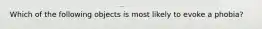 Which of the following objects is most likely to evoke a phobia?