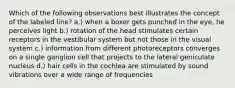 Which of the following observations best illustrates the concept of the labeled line? a.) when a boxer gets punched in the eye, he perceives light b.) rotation of the head stimulates certain receptors in the vestibular system but not those in the visual system c.) information from different photoreceptors converges on a single ganglion cell that projects to the lateral geniculate nucleus d.) hair cells in the cochlea are stimulated by sound vibrations over a wide range of frequencies