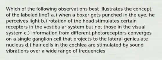 Which of the following observations best illustrates the concept of the labeled line? a.) when a boxer gets punched in the eye, he perceives light b.) rotation of the head stimulates certain receptors in the vestibular system but not those in the visual system c.) information from different photoreceptors converges on a single ganglion cell that projects to the lateral geniculate nucleus d.) hair cells in the cochlea are stimulated by sound vibrations over a wide range of frequencies