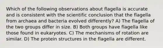 Which of the following observations about flagella is accurate and is consistent with the scientific conclusion that the flagella from archaea and bacteria evolved differently? A) The flagella of the two groups differ in size. B) Both groups have flagella like those found in eukaryotes. C) The mechanisms of rotation are similar. D) The protein structures in the flagella are different.