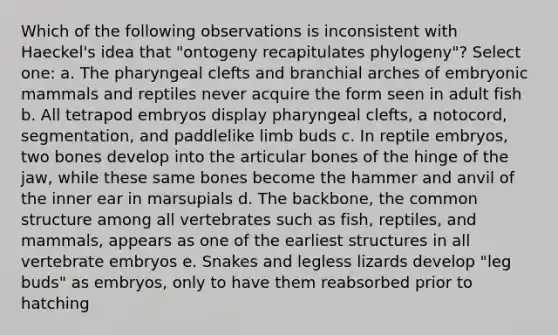 Which of the following observations is inconsistent with Haeckel's idea that "ontogeny recapitulates phylogeny"? Select one: a. The pharyngeal clefts and branchial arches of embryonic mammals and reptiles never acquire the form seen in adult fish b. All tetrapod embryos display pharyngeal clefts, a notocord, segmentation, and paddlelike limb buds c. In reptile embryos, two bones develop into the articular bones of the hinge of the jaw, while these same bones become the hammer and anvil of the inner ear in marsupials d. The backbone, the common structure among all vertebrates such as fish, reptiles, and mammals, appears as one of the earliest structures in all vertebrate embryos e. Snakes and legless lizards develop "leg buds" as embryos, only to have them reabsorbed prior to hatching