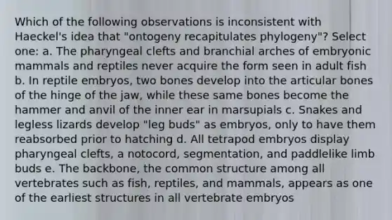 Which of the following observations is inconsistent with Haeckel's idea that "ontogeny recapitulates phylogeny"? Select one: a. The pharyngeal clefts and branchial arches of embryonic mammals and reptiles never acquire the form seen in adult fish b. In reptile embryos, two bones develop into the articular bones of the hinge of the jaw, while these same bones become the hammer and anvil of the inner ear in marsupials c. Snakes and legless lizards develop "leg buds" as embryos, only to have them reabsorbed prior to hatching d. All tetrapod embryos display pharyngeal clefts, a notocord, segmentation, and paddlelike limb buds e. The backbone, the common structure among all vertebrates such as fish, reptiles, and mammals, appears as one of the earliest structures in all vertebrate embryos