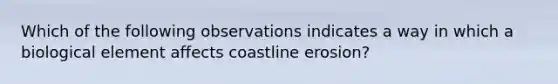 Which of the following observations indicates a way in which a biological element affects coastline erosion?