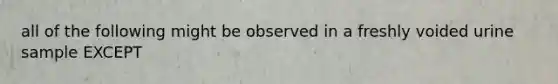 all of the following might be observed in a freshly voided urine sample EXCEPT