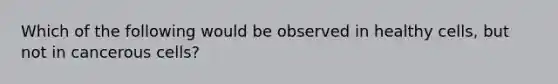 Which of the following would be observed in healthy cells, but not in cancerous cells?