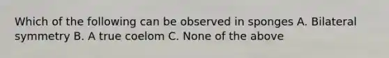 Which of the following can be observed in sponges A. Bilateral symmetry B. A true coelom C. None of the above