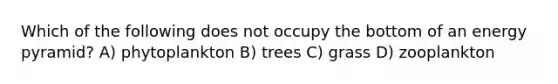 Which of the following does not occupy the bottom of an energy pyramid? A) phytoplankton B) trees C) grass D) zooplankton