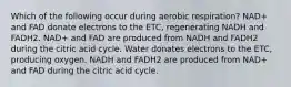 Which of the following occur during aerobic respiration? NAD+ and FAD donate electrons to the ETC, regenerating NADH and FADH2. NAD+ and FAD are produced from NADH and FADH2 during the citric acid cycle. Water donates electrons to the ETC, producing oxygen. NADH and FADH2 are produced from NAD+ and FAD during the citric acid cycle.