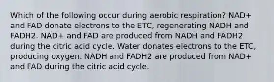 Which of the following occur during aerobic respiration? NAD+ and FAD donate electrons to the ETC, regenerating NADH and FADH2. NAD+ and FAD are produced from NADH and FADH2 during the citric acid cycle. Water donates electrons to the ETC, producing oxygen. NADH and FADH2 are produced from NAD+ and FAD during the citric acid cycle.