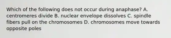 Which of the following does not occur during anaphase? A. centromeres divide B. nuclear envelope dissolves C. spindle fibers pull on the chromosomes D. chromosomes move towards opposite poles