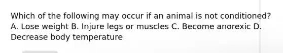 Which of the following may occur if an animal is not conditioned? A. Lose weight B. Injure legs or muscles C. Become anorexic D. Decrease body temperature