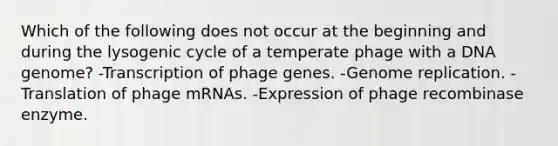 Which of the following does not occur at the beginning and during the lysogenic cycle of a temperate phage with a DNA genome? -Transcription of phage genes. -Genome replication. -Translation of phage mRNAs. -Expression of phage recombinase enzyme.