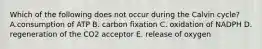 Which of the following does not occur during the Calvin cycle? A.consumption of ATP B. carbon fixation C. oxidation of NADPH D. regeneration of the CO2 acceptor E. release of oxygen