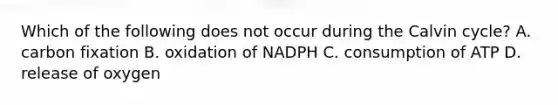 Which of the following does not occur during the Calvin cycle? A. carbon fixation B. oxidation of NADPH C. consumption of ATP D. release of oxygen