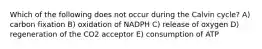 Which of the following does not occur during the Calvin cycle? A) carbon fixation B) oxidation of NADPH C) release of oxygen D) regeneration of the CO2 acceptor E) consumption of ATP