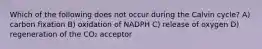 Which of the following does not occur during the Calvin cycle? A) carbon fixation B) oxidation of NADPH C) release of oxygen D) regeneration of the CO₂ acceptor