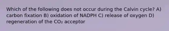 Which of the following does not occur during the Calvin cycle? A) carbon fixation B) oxidation of NADPH C) release of oxygen D) regeneration of the CO₂ acceptor