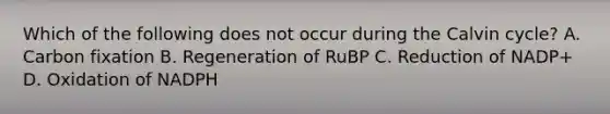 Which of the following does not occur during the Calvin cycle? A. Carbon fixation B. Regeneration of RuBP C. Reduction of NADP+ D. Oxidation of NADPH