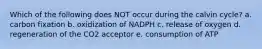 Which of the following does NOT occur during the calvin cycle? a. carbon fixation b. oxidization of NADPH c. release of oxygen d. regeneration of the CO2 acceptor e. consumption of ATP