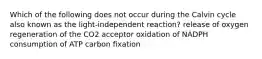 Which of the following does not occur during the Calvin cycle also known as the light-independent reaction? release of oxygen regeneration of the CO2 acceptor oxidation of NADPH consumption of ATP carbon fixation