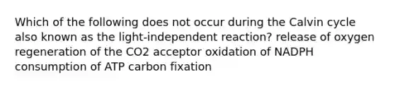 Which of the following does not occur during the Calvin cycle also known as the light-independent reaction? release of oxygen regeneration of the CO2 acceptor oxidation of NADPH consumption of ATP carbon fixation