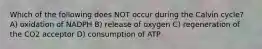 Which of the following does NOT occur during the Calvin cycle? A) oxidation of NADPH B) release of oxygen C) regeneration of the CO2 acceptor D) consumption of ATP