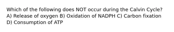 Which of the following does NOT occur during the Calvin Cycle? A) Release of oxygen B) Oxidation of NADPH C) Carbon fixation D) Consumption of ATP