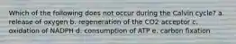 Which of the following does not occur during the Calvin cycle? a. release of oxygen b. regeneration of the CO2 acceptor c. oxidation of NADPH d. consumption of ATP e. carbon fixation