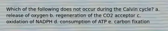 Which of the following does not occur during the Calvin cycle? a. release of oxygen b. regeneration of the CO2 acceptor c. oxidation of NADPH d. consumption of ATP e. carbon fixation