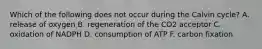 Which of the following does not occur during the Calvin cycle? A. release of oxygen B. regeneration of the CO2 acceptor C. oxidation of NADPH D. consumption of ATP F. carbon fixation