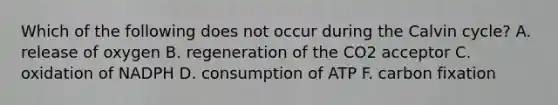 Which of the following does not occur during the Calvin cycle? A. release of oxygen B. regeneration of the CO2 acceptor C. oxidation of NADPH D. consumption of ATP F. carbon fixation